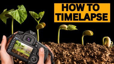 How to make a plant timelapse