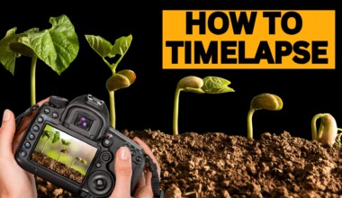 How to make a plant timelapse