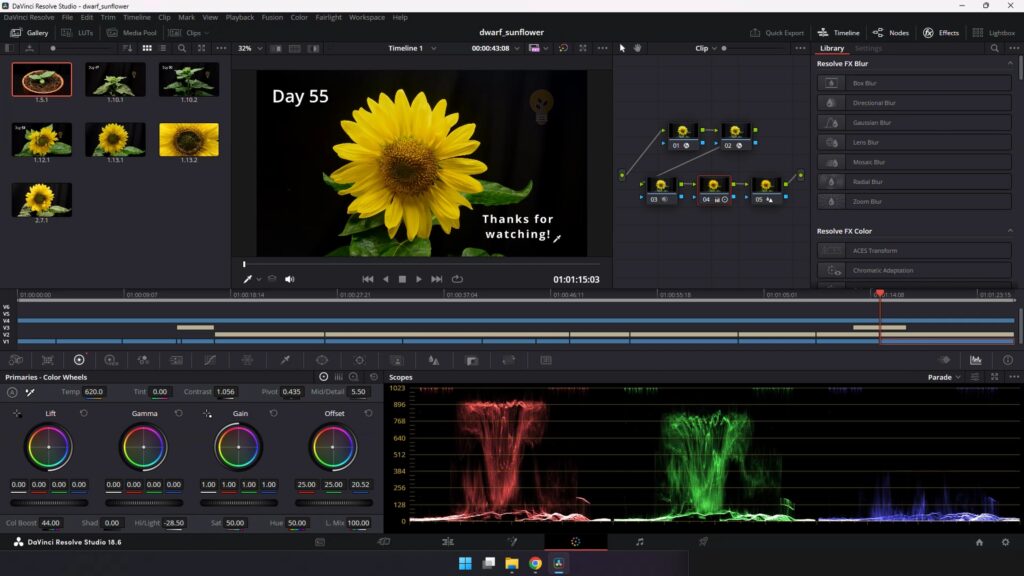 Color grading nodes for a plant timelapse in DaVinci Resolve