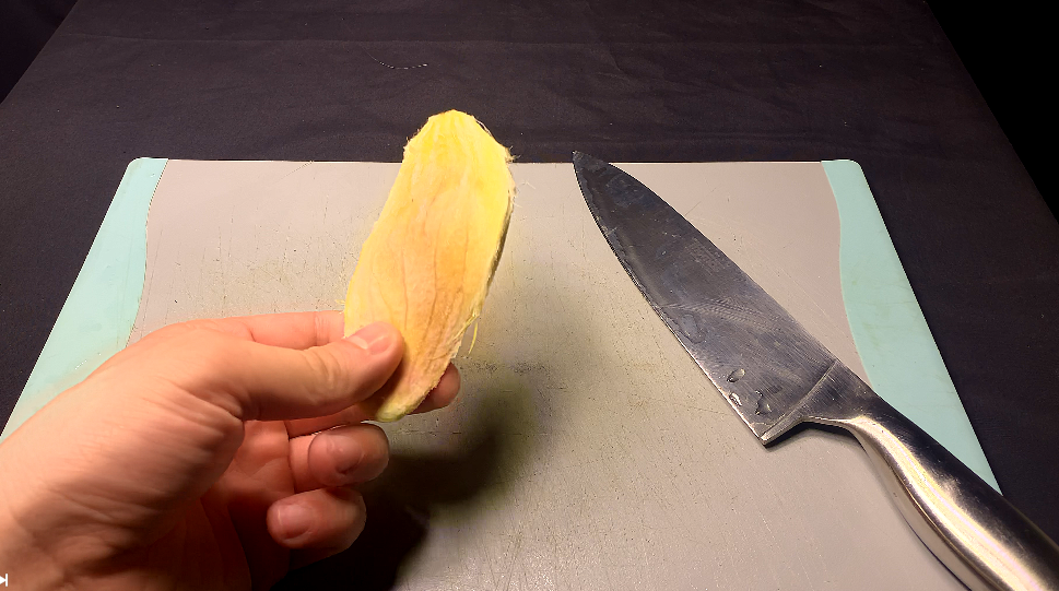 Cleaned mango kernel after removing the fruit