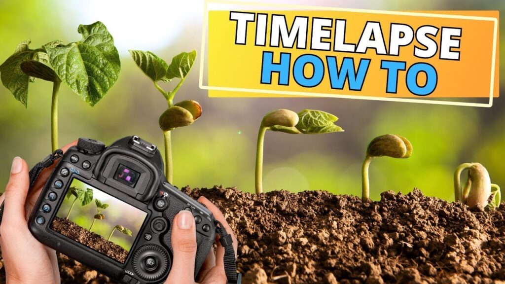 how to make a plant timelapse