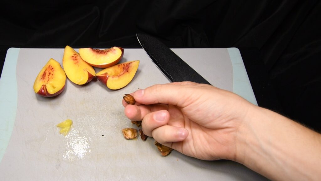 Clean nectarine pit ready for cracking to get the seed