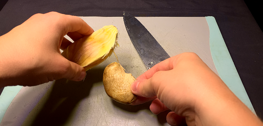 Mango seed inside the opened wooden husk