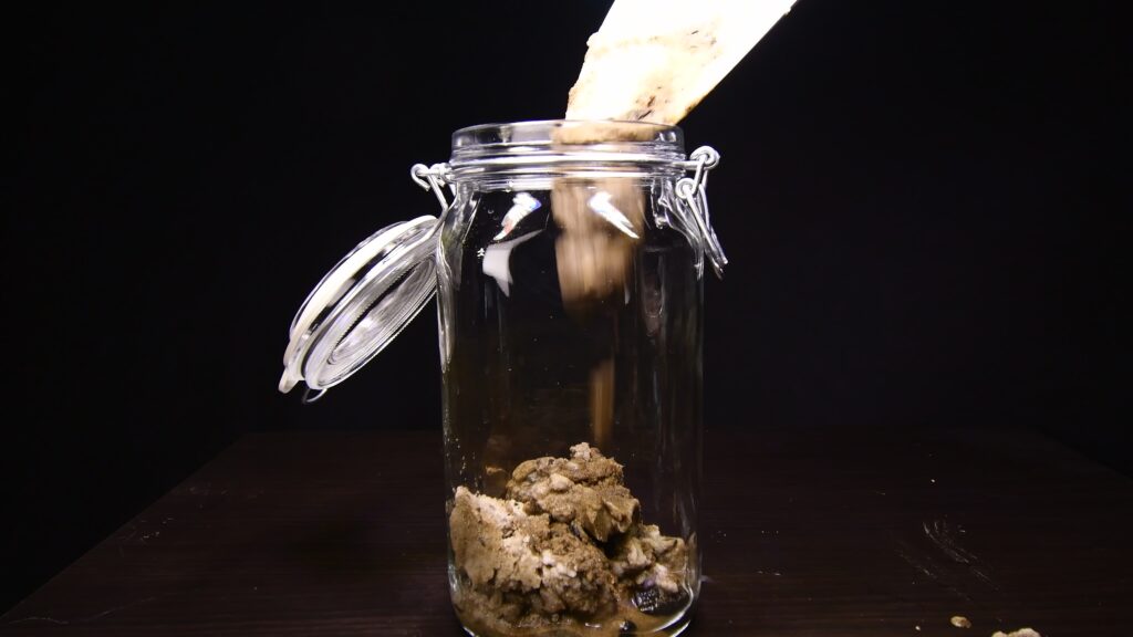 Collecting river sand as substrate for a DIY jar ecosphere