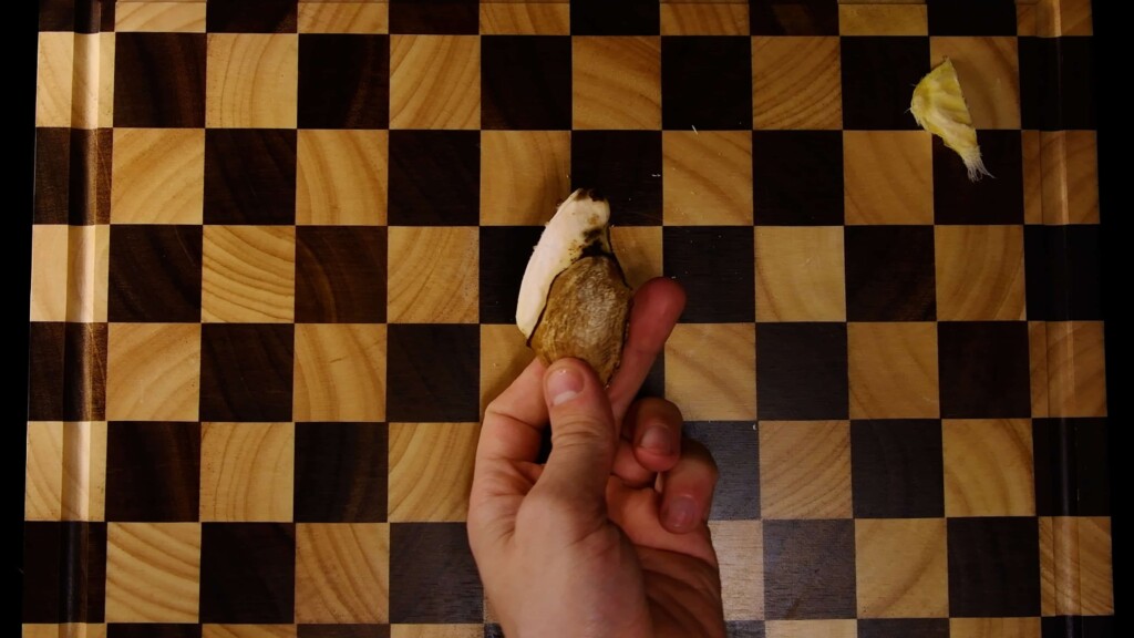 The actual mango seed removed from its woody husk
