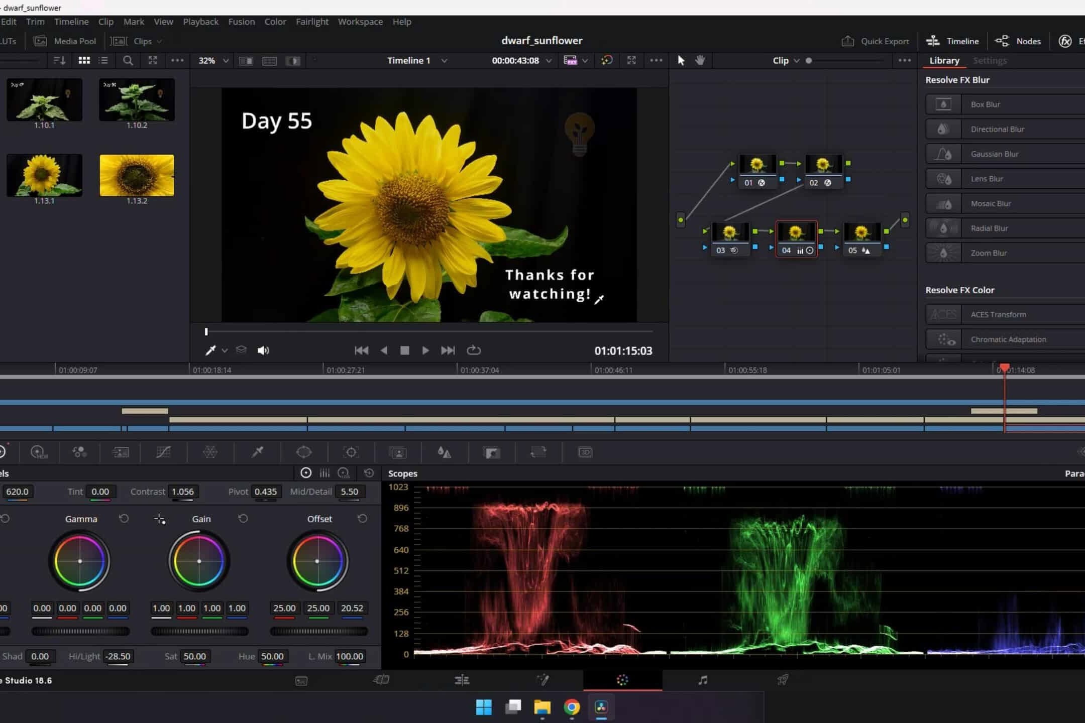 Colour grading nodes for a plant timelapse in DaVinci Resolve