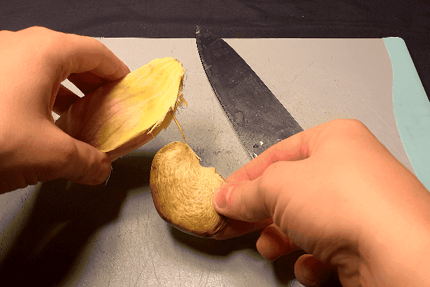 Mango seed inside the opened wooden husk