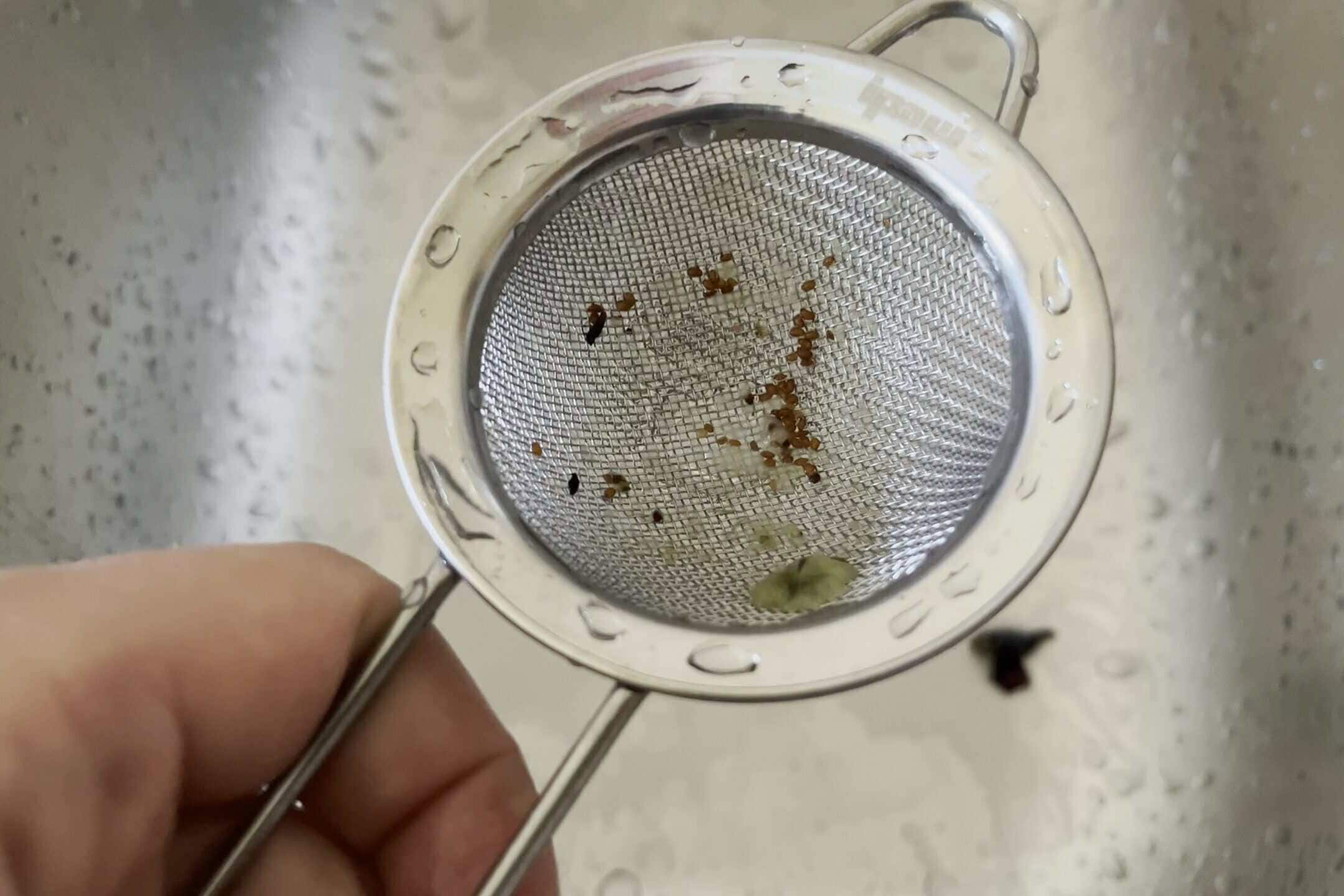 Blueberry seeds collected in a fine mesh sieve after smashing the berries