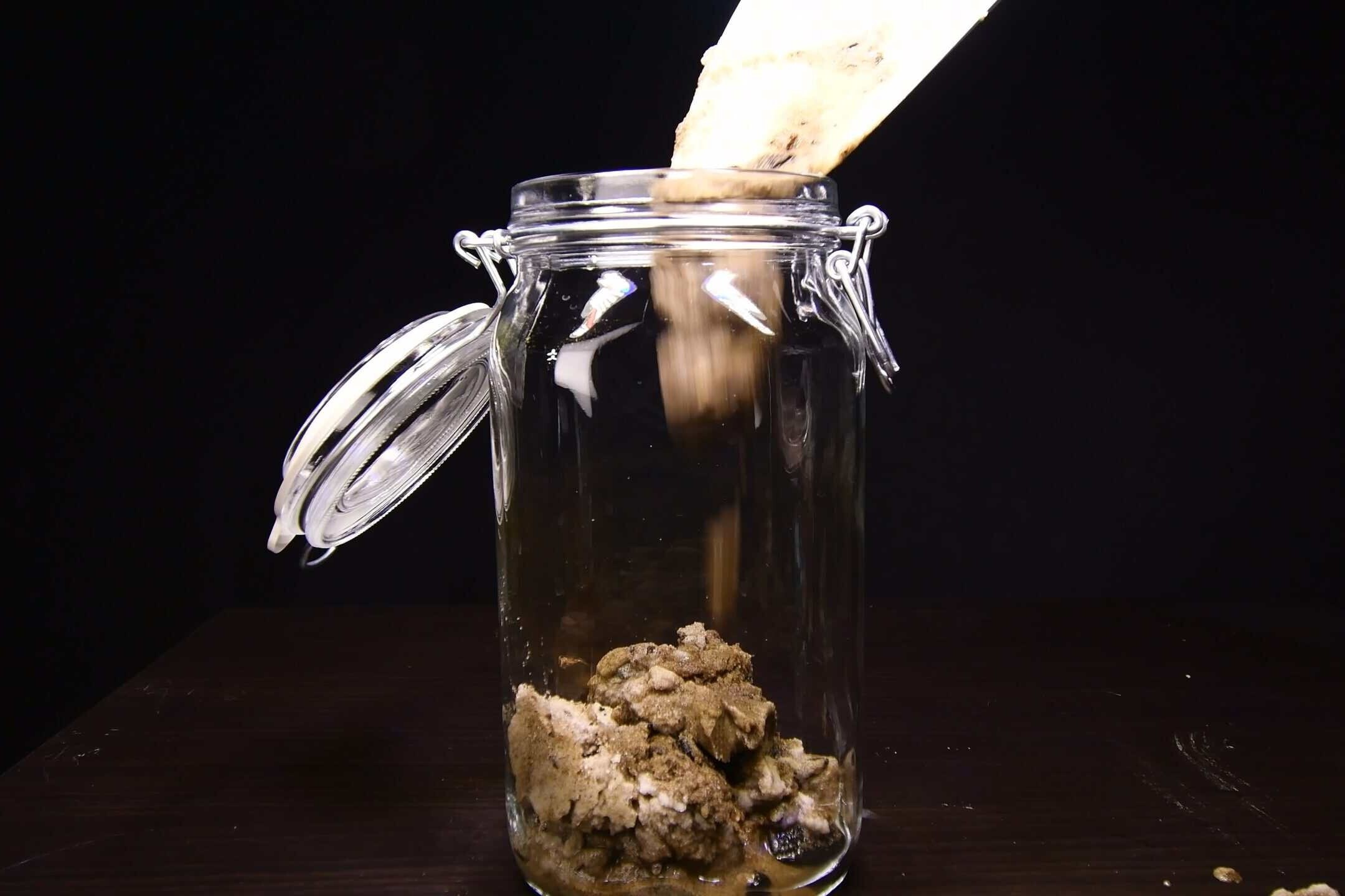 Collecting river sand as substrate for a DIY jar ecosphere