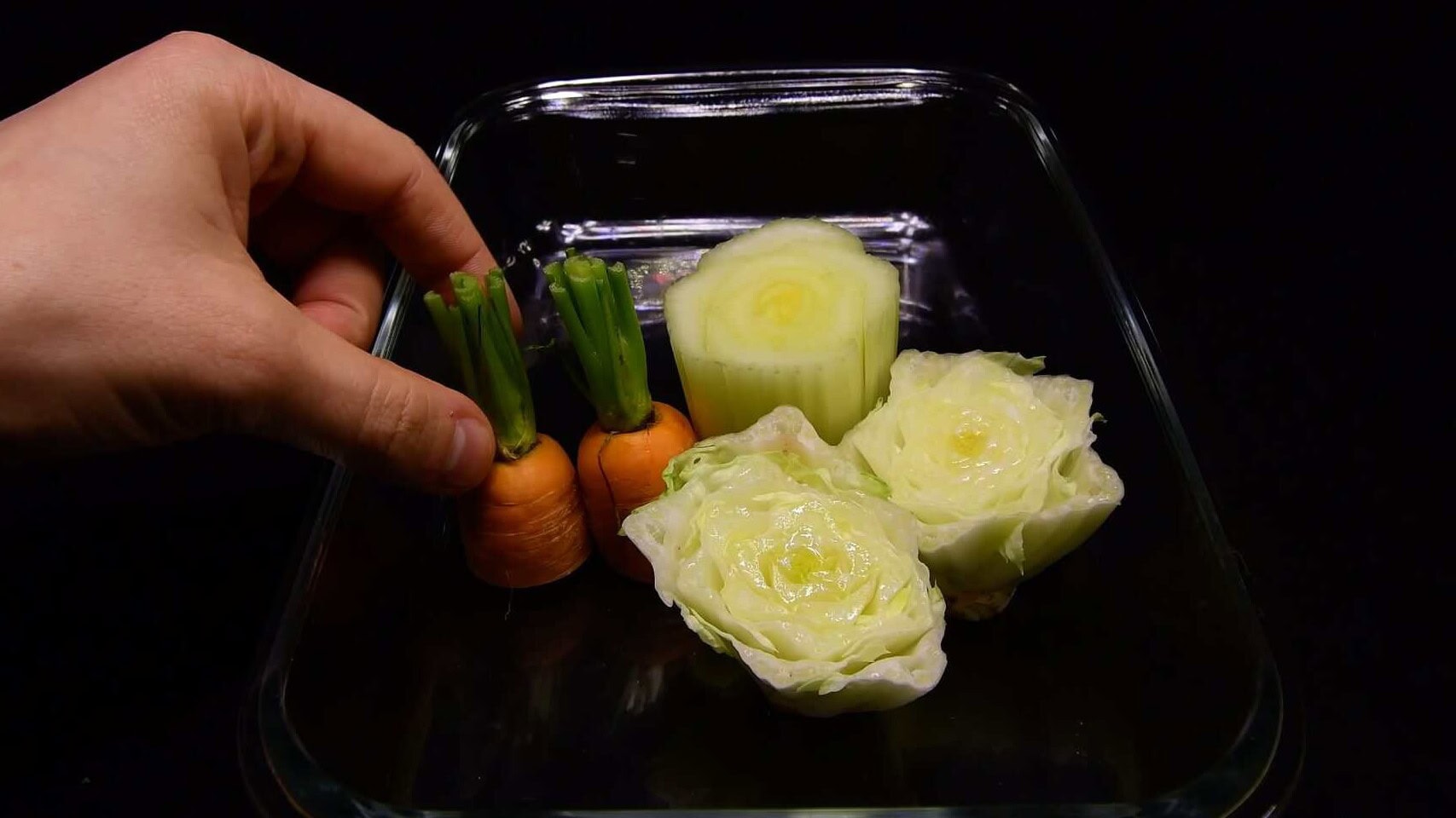 Celery, lettuce, scallions and carrots placed in glasses of water